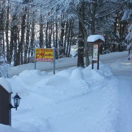 Campsite Camping Les Myrtilles