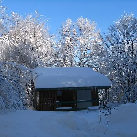 Campsite Camping Les Myrtilles Clermont-Ferrand